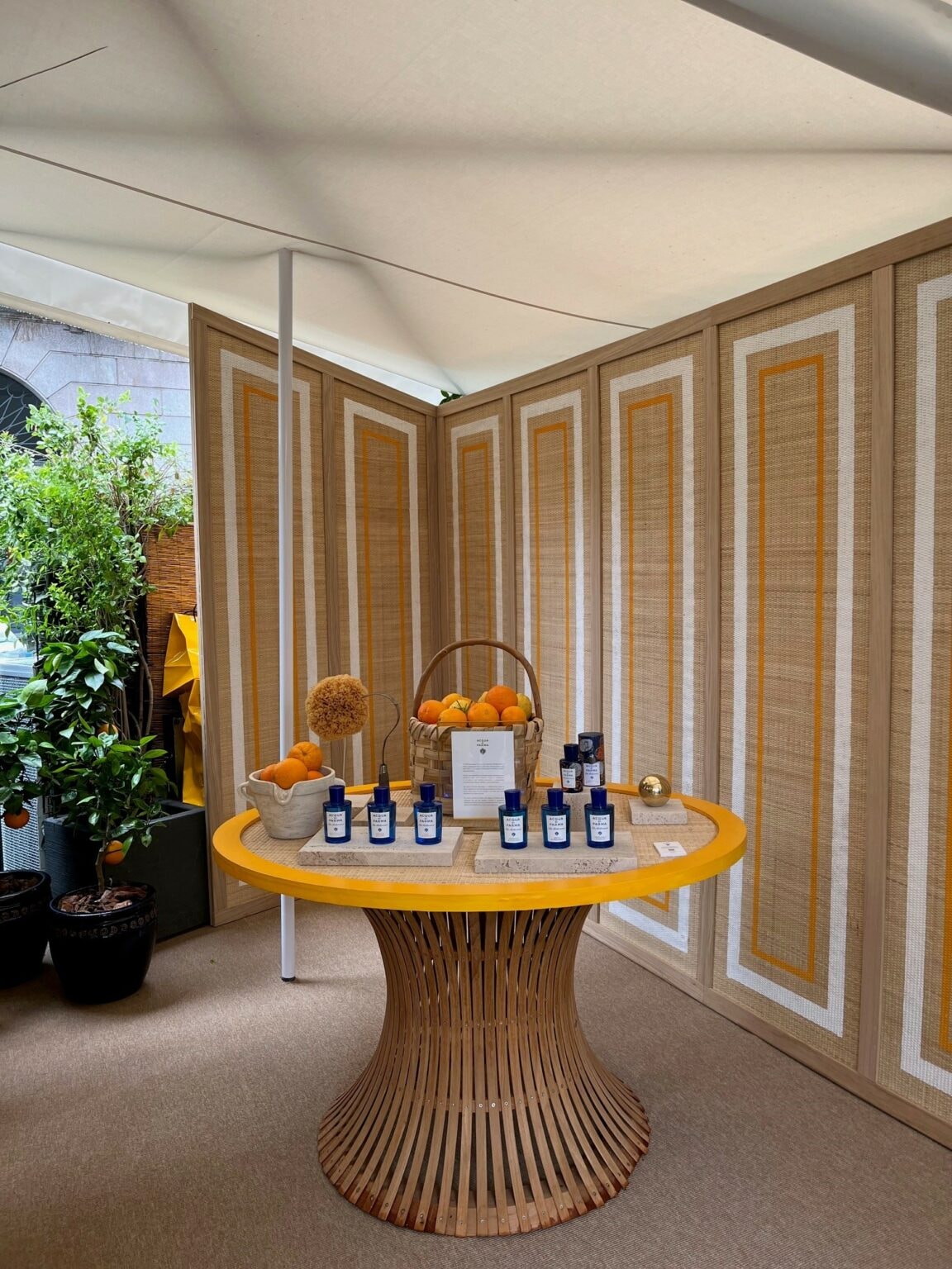 Acqua di Parma porta il profumo di Sicilia a Milano