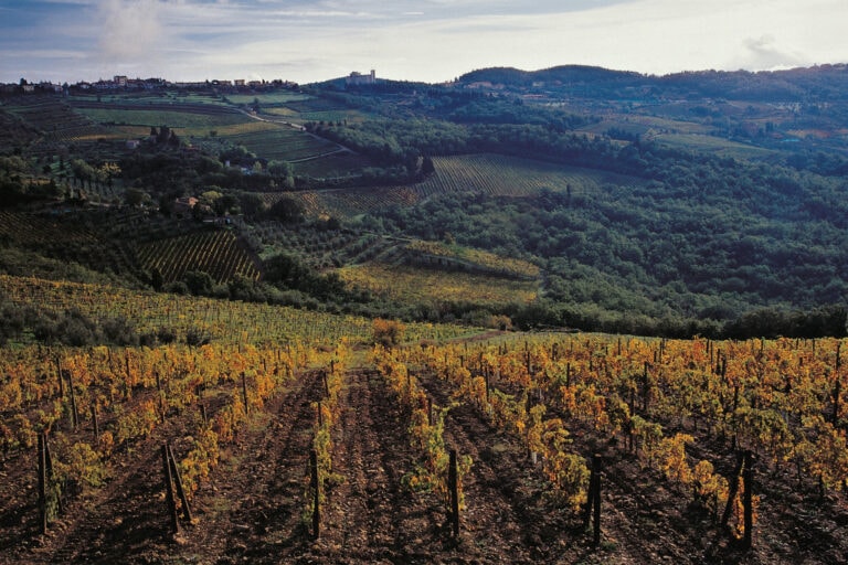 I vigneti di Castellare di Castellina sul podio con i Sodi di San Niccolò 2018.