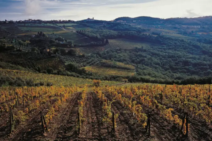 I vigneti di Castellare di Castellina sul podio con i Sodi di San Niccolò 2018.