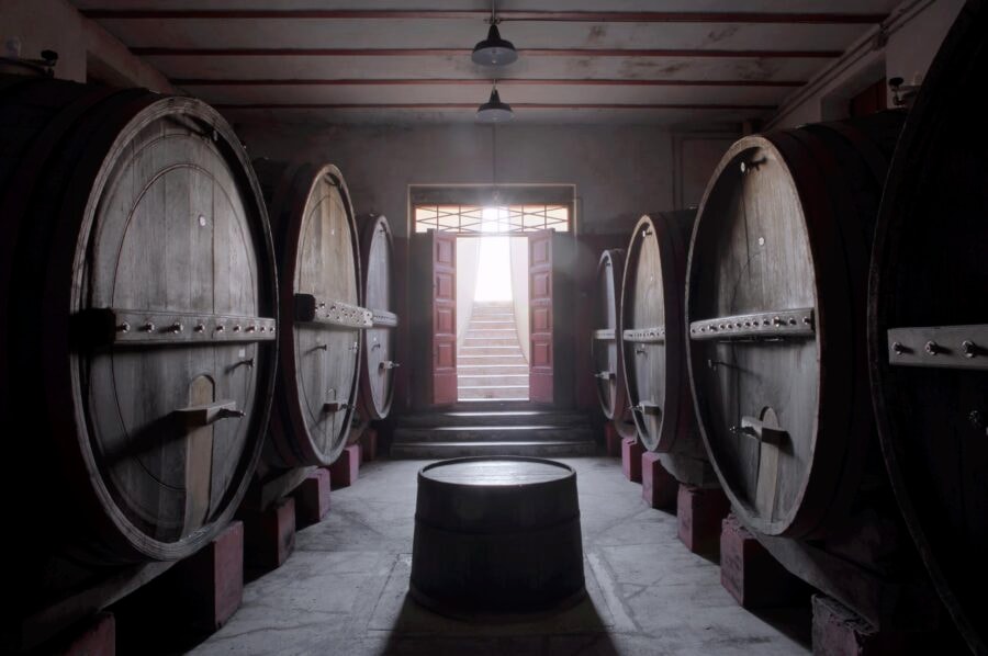 La top 50 dei vini bianchi italiani del 2024