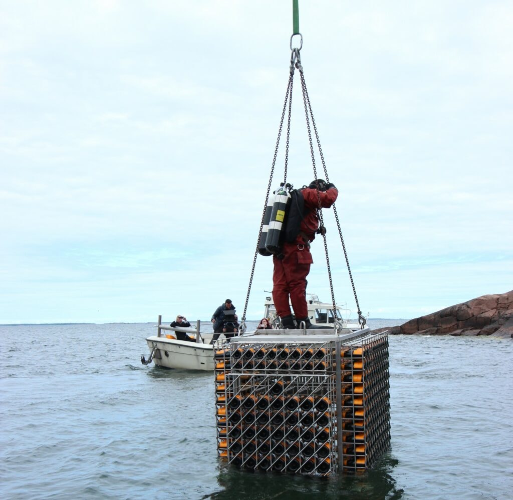 Un sommozzatore al lavoro per recuperare le bottiglie di champagne del progetto Cellar in the Sea.
