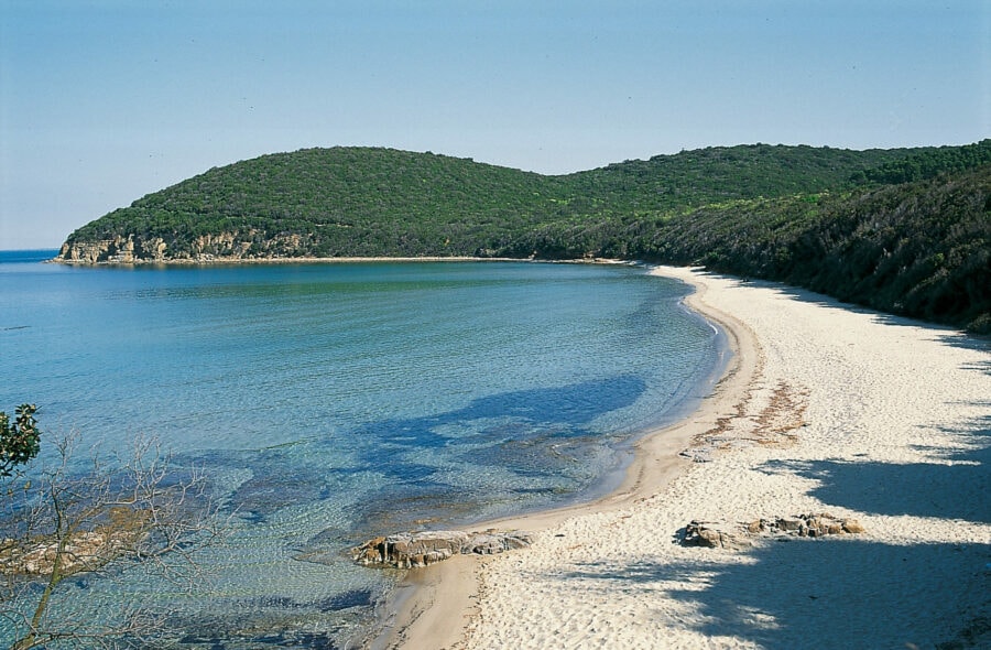 Cala Violina