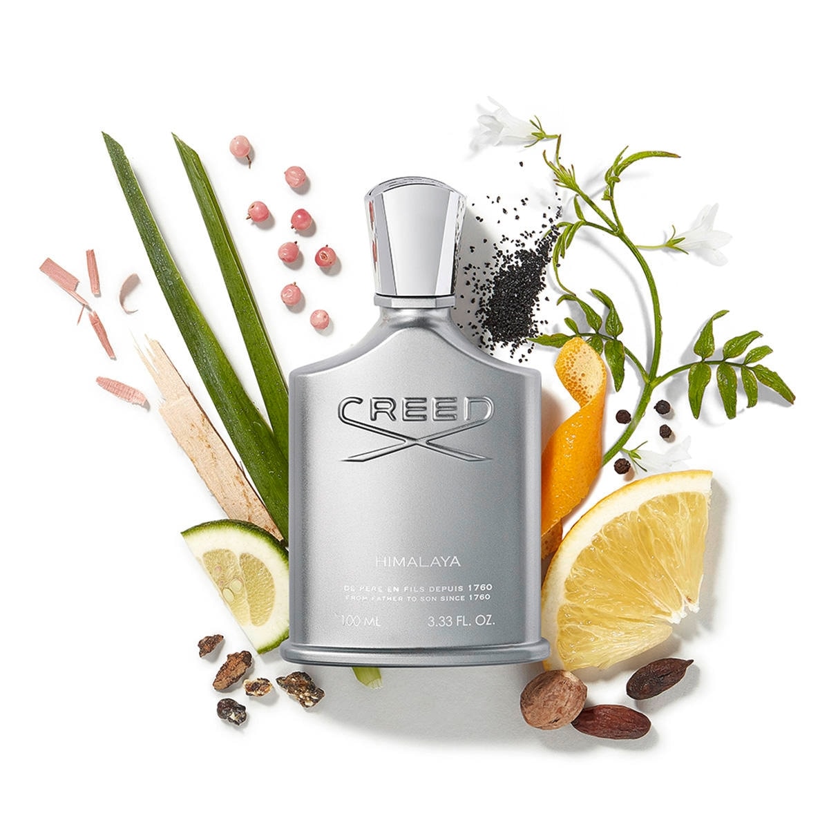I 10 migliori profumi da gentleman