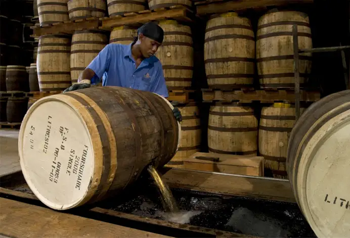 Foursquare è la distilleria più giovane della Magnum Series, fondata nel 1996 a Barbados.