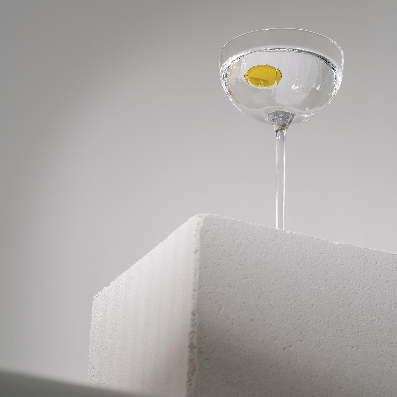 Belvedere 10 la vodka con la lode 