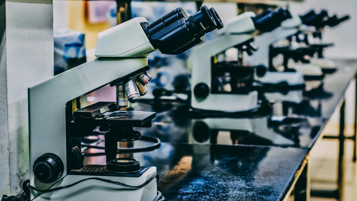 L’efficacia dell’immunoterapia la predice l’IA
