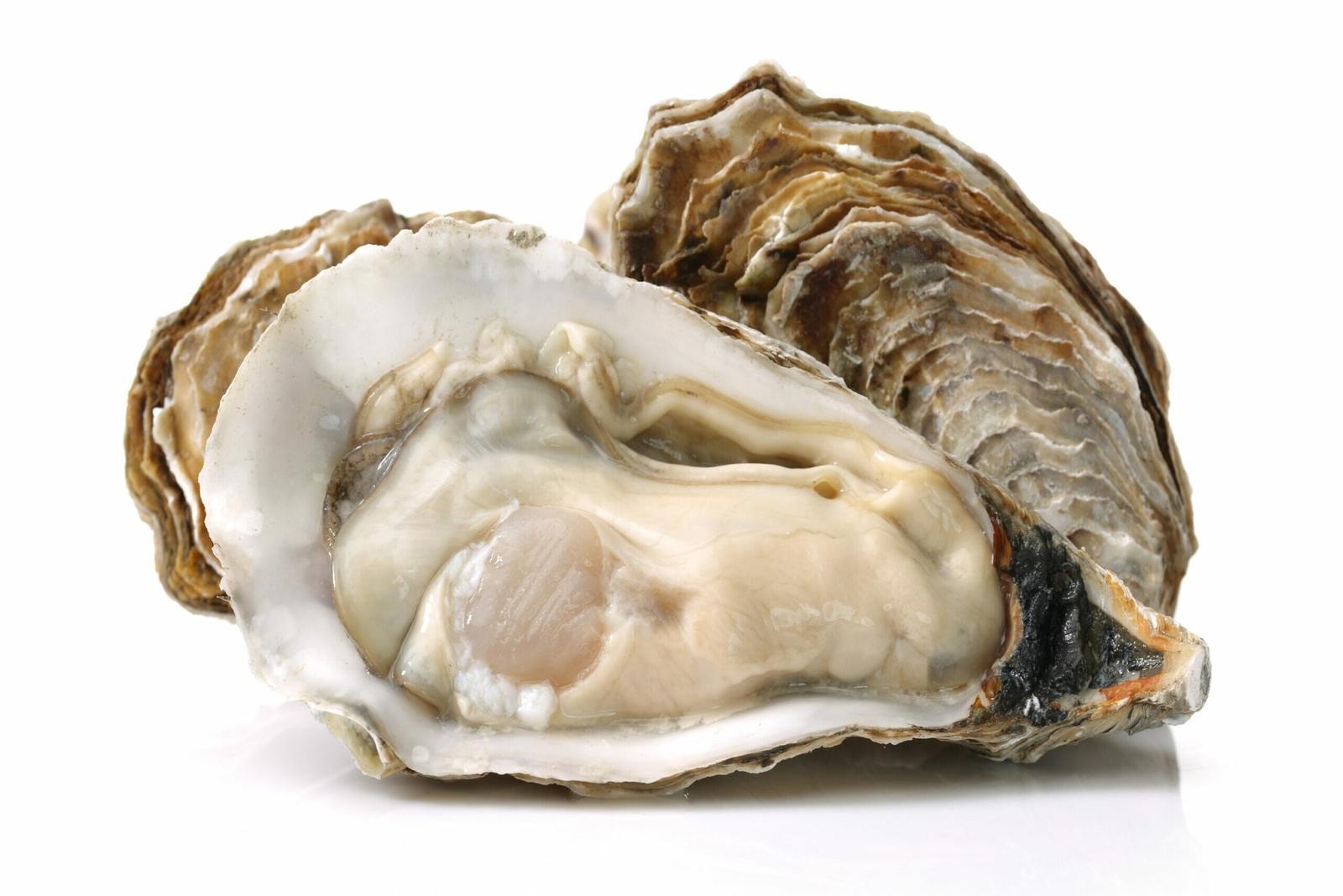 La top ten dei ristoranti di pesce a Milano