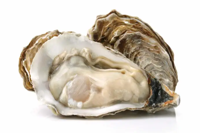 La top ten dei ristoranti di pesce a Milano