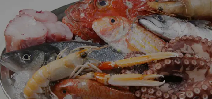 La top ten dei ristoranti di pesce a Milano