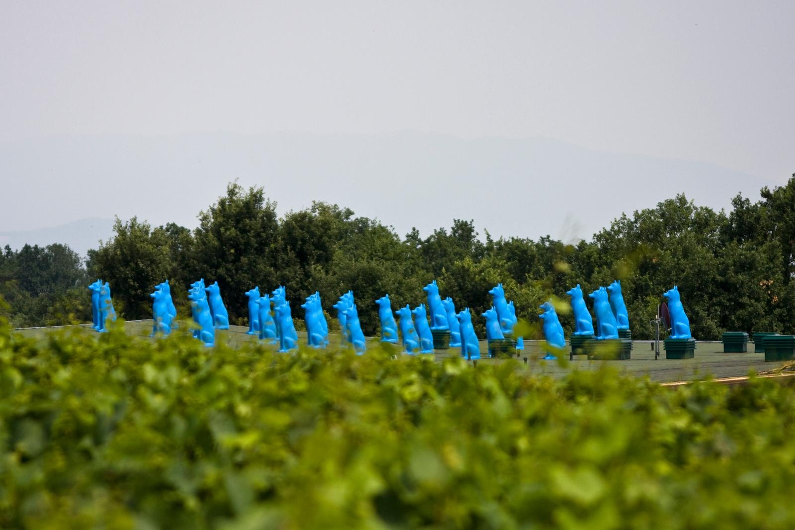 Nella cantina Ca’ del Bosco, alla scoperta dei nuovi spazi evocativi