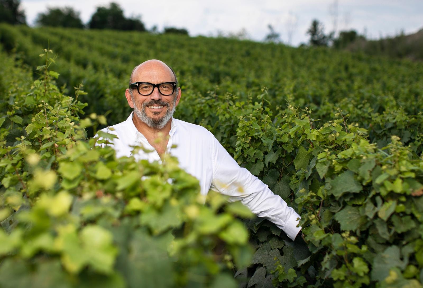 Maurizio Zanella, fondatore e presidente Ca del Bosco (foto di Giuseppe La Spada)