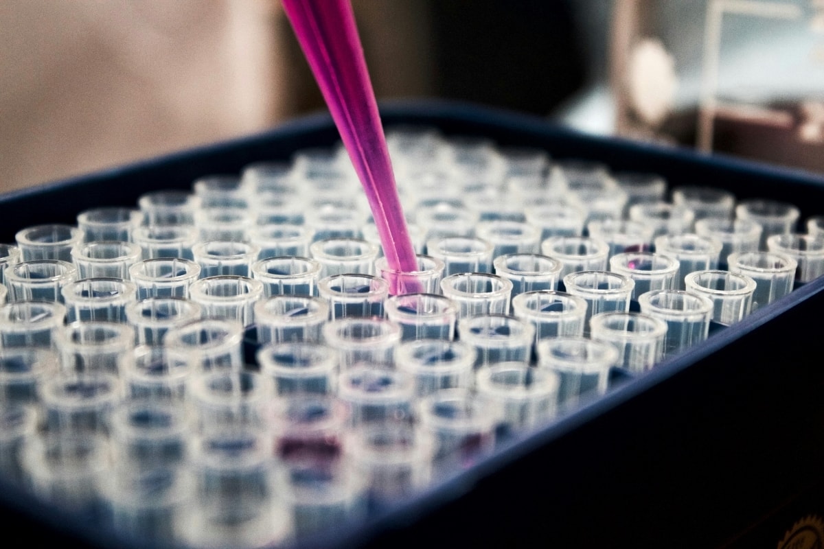 Un nutraceutico efficace contro le infezioni