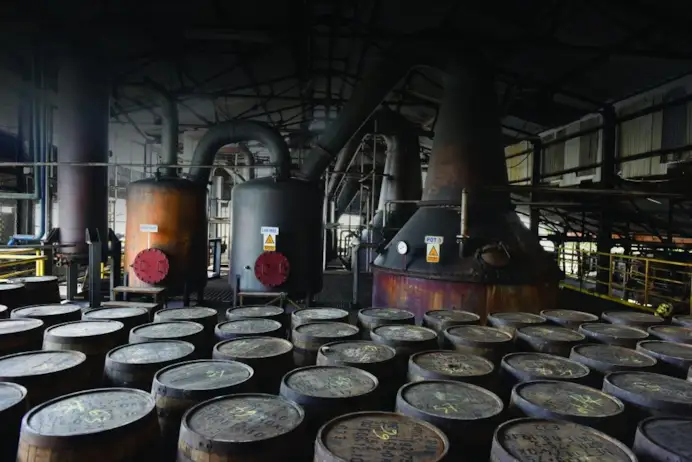 Hampden rum il tesoro del Caraibi