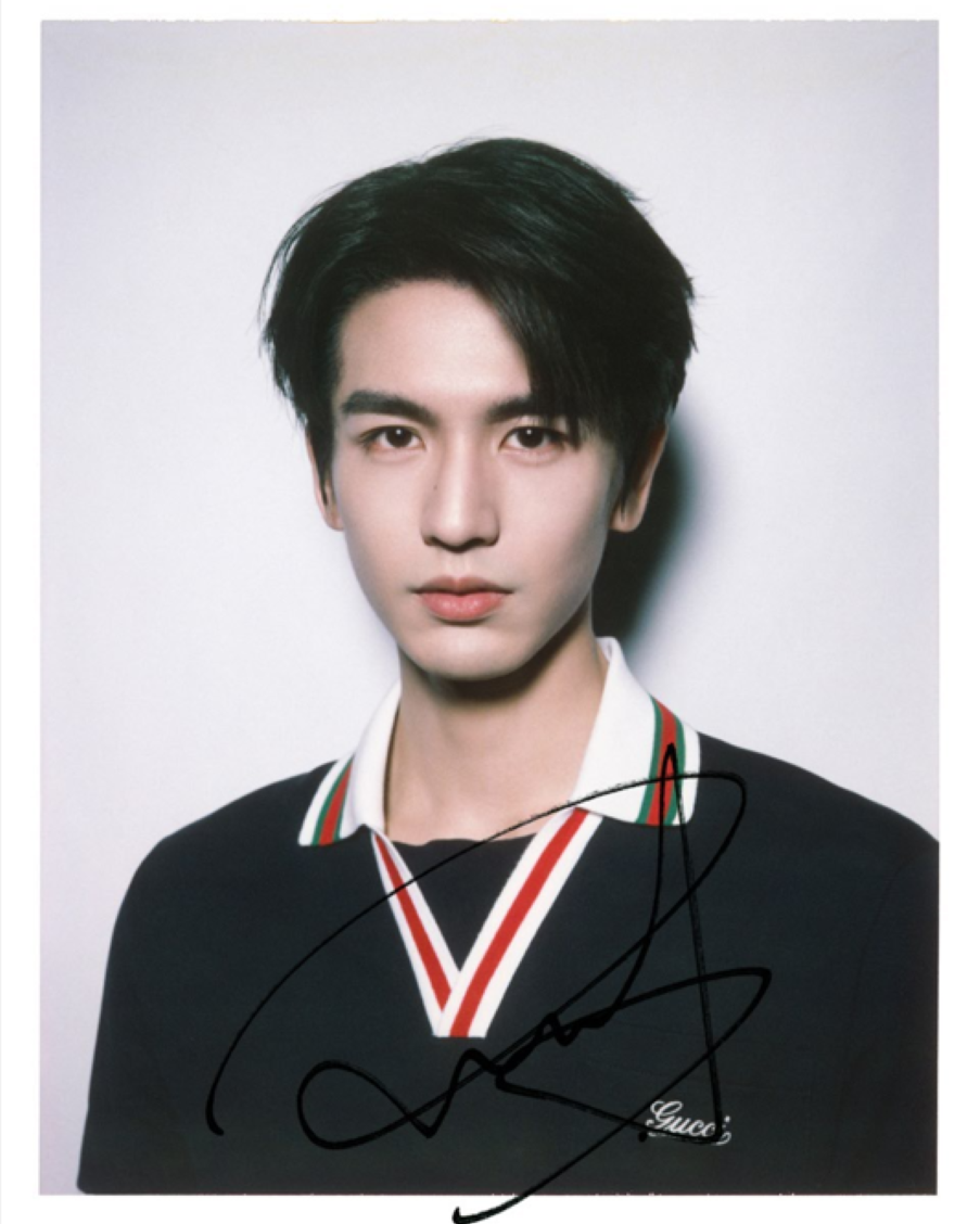 Il brand ambassador Zhang Linghe (courtesy Gucci)