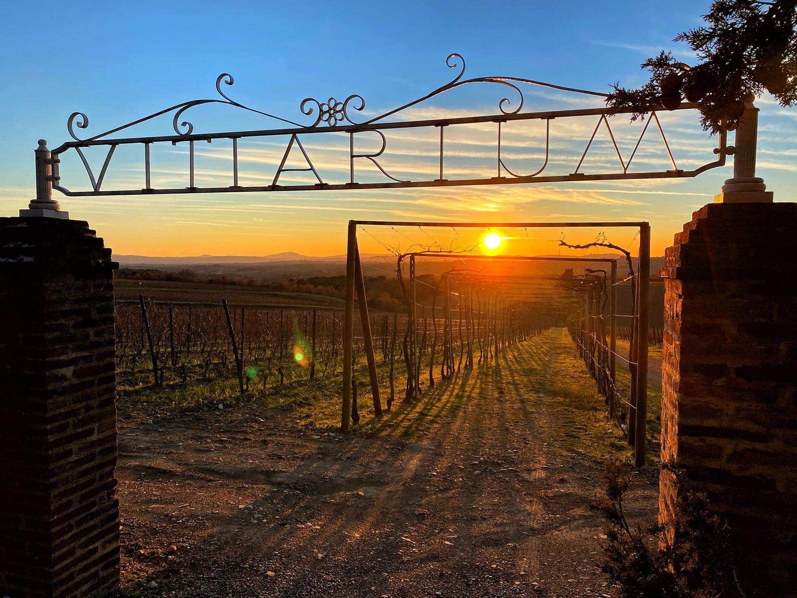 I 5 migliori wine resort nati da cinque grandi vini e produttori