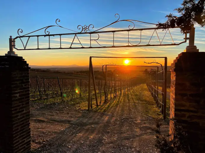 I 5 migliori wine resort nati da cinque grandi vini e produttori