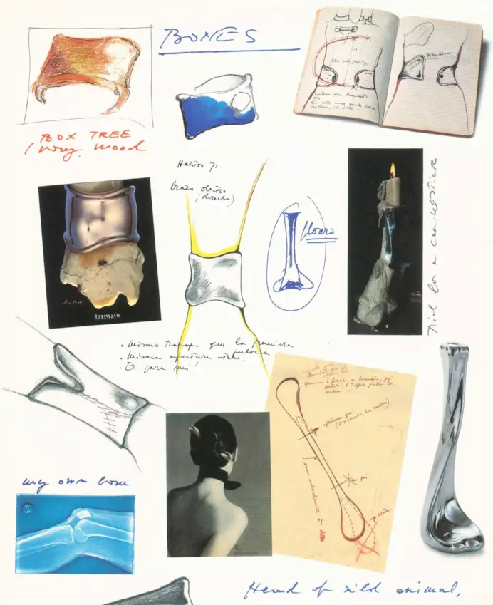 L’estro di Elsa Peretti, indimenticabile designer di Tiffany & Co.