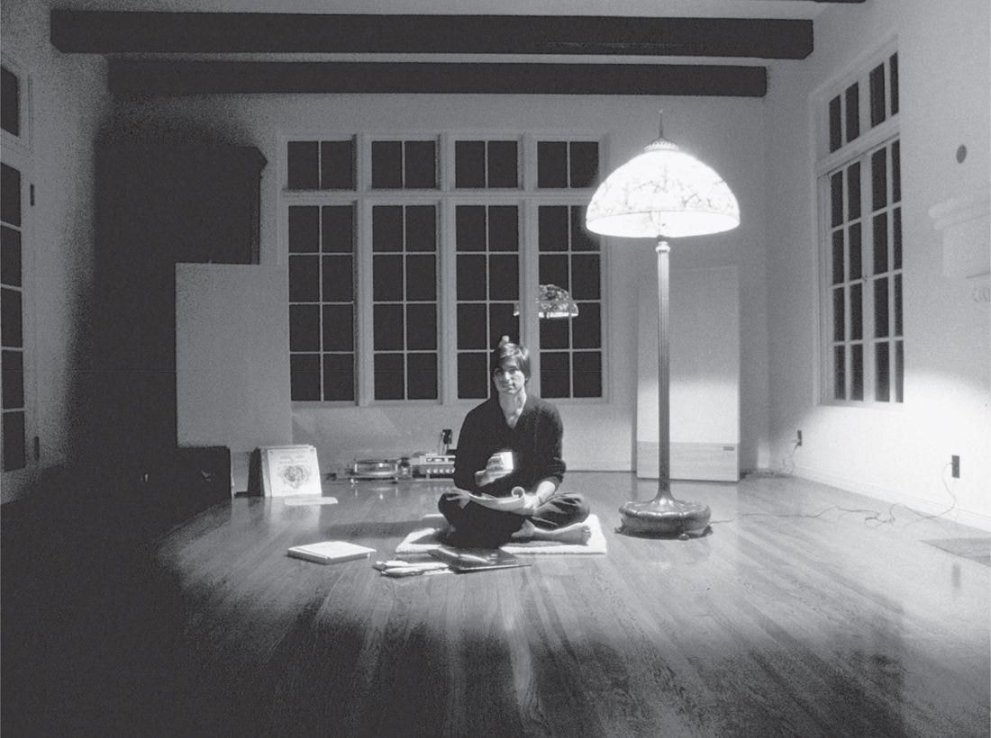 Zen Village. La rivoluzione della meditazione per un equilibrio totale