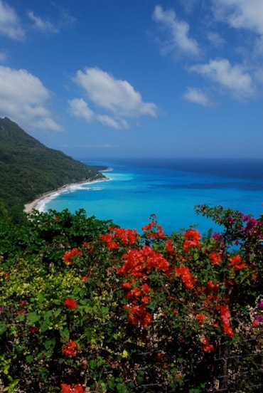 Repubblica Dominicana,  non solo mare Repubblica Dominicana,  non solo mare 