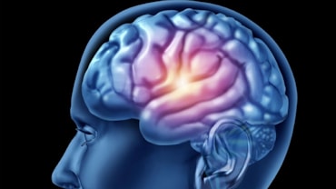 Una proteina contro l’Alzheimer