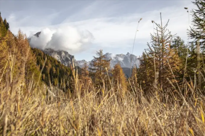 Fuga autunnale. Le 3 migliori destinazioni per godersi il foliage tra Dolomiti e Valtellina