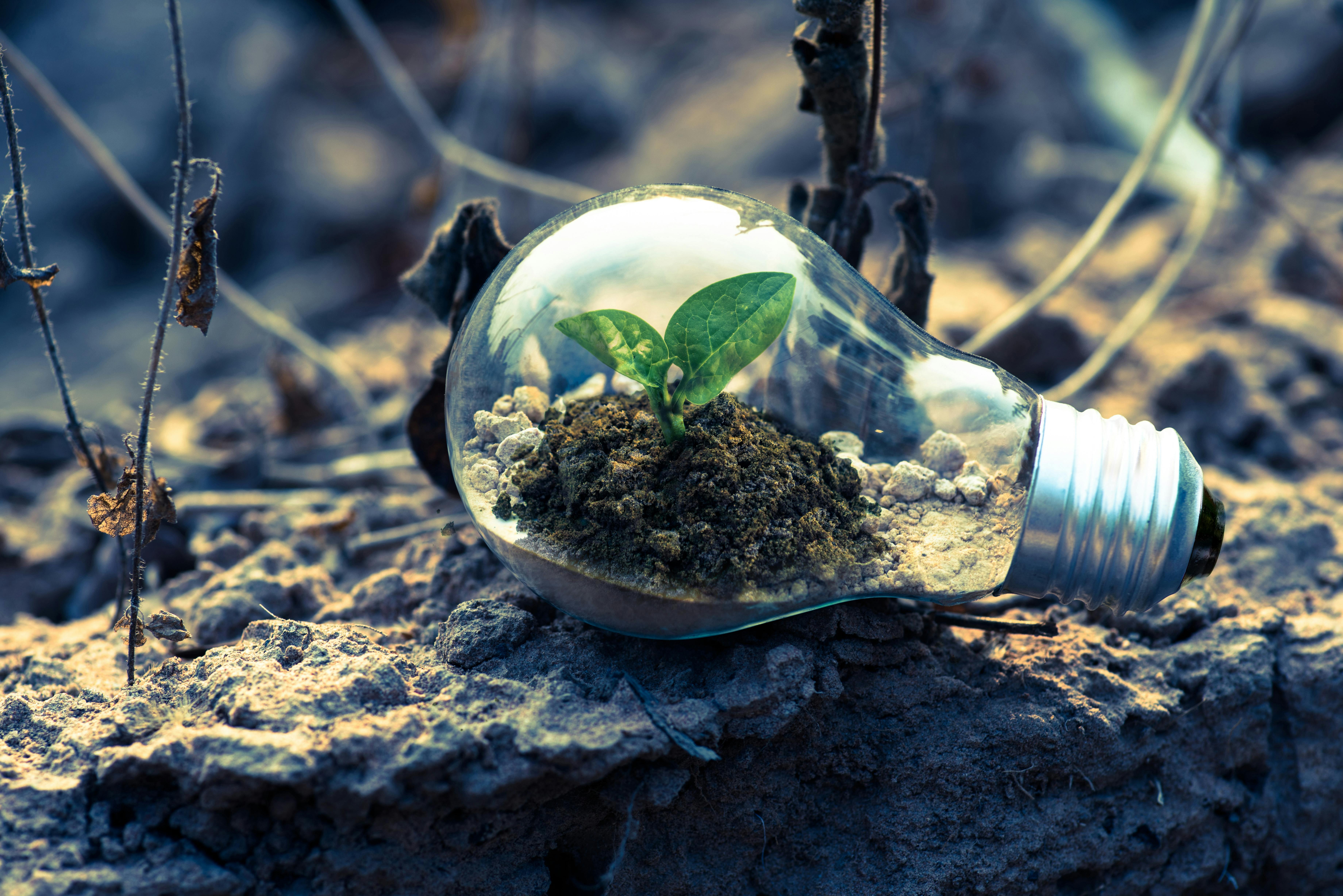 La quadruplice alleanza del check-up Esg 
