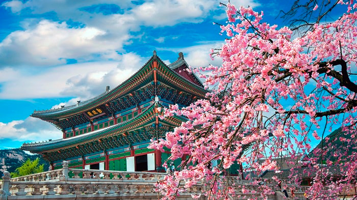 Cool Corea, il Paese inaspettato