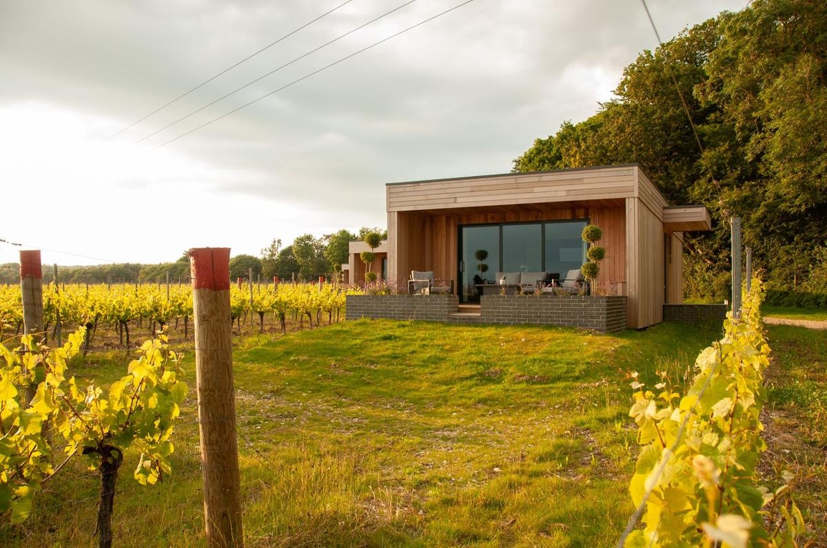 Dormire in vigna: i migliori 8 wine resort del Regno Unito