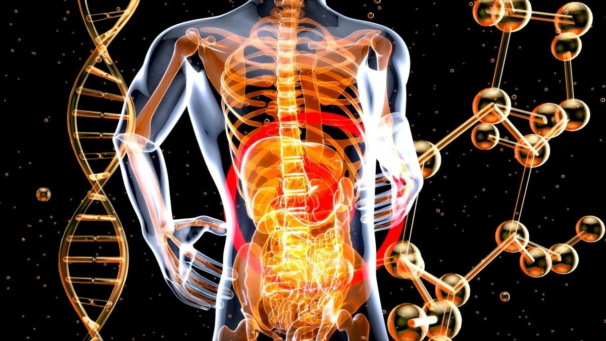 Nell’intestino i batteri per smascherare il melanoma