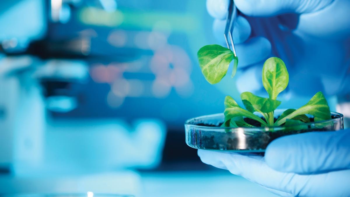 Il piatto ricco delle startup agri-foodtech