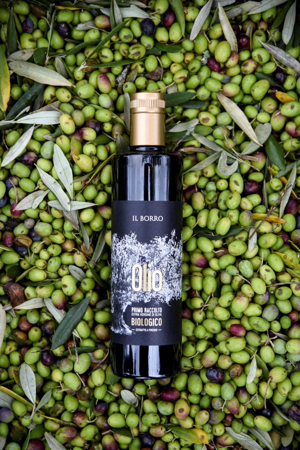 L’olio Primo Raccolto biologico della tenuta toscana Il Borro.