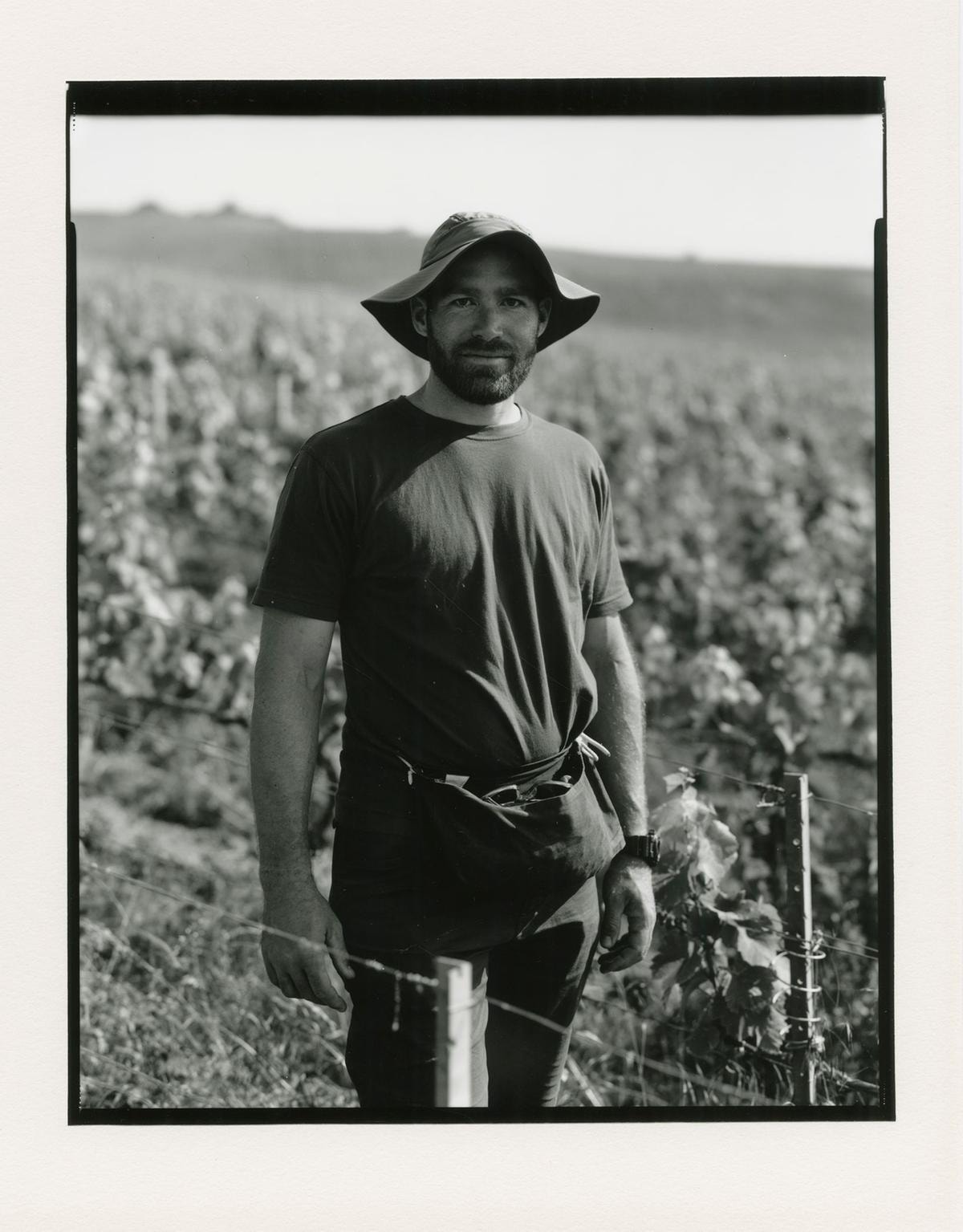 In alto i calici con Dom Pérignon