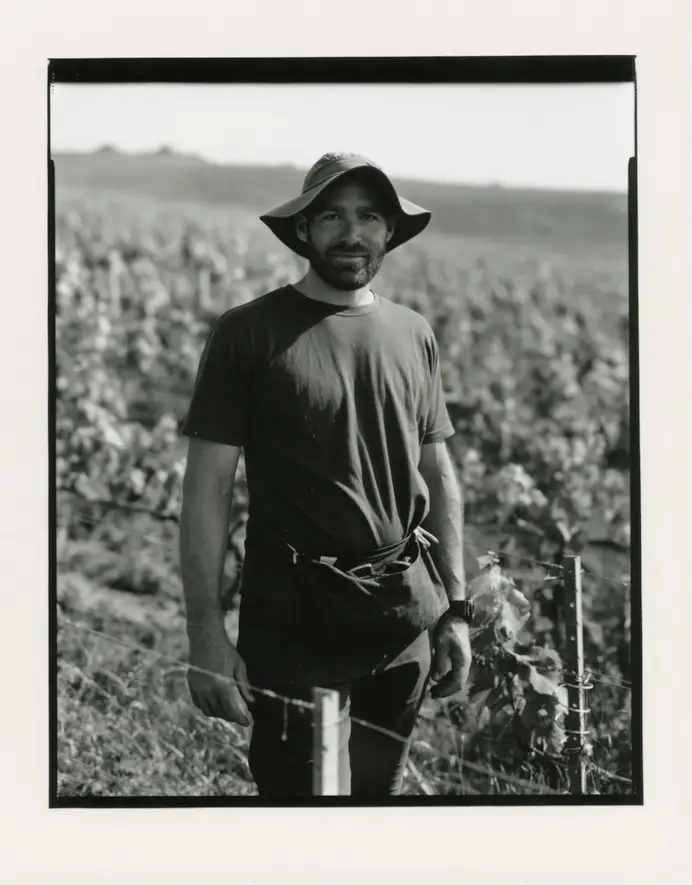 In alto i calici con Dom Pérignon