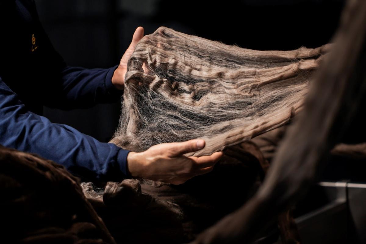 Il filato di lana pecora nera (courtesy Loro Piana)