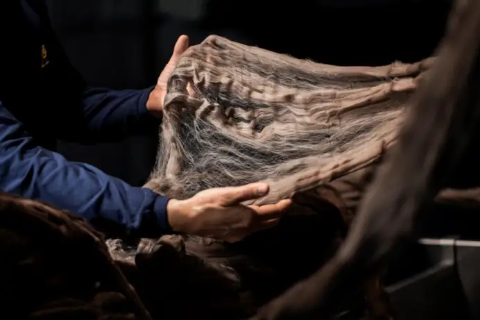 Il filato di lana pecora nera (courtesy Loro Piana)