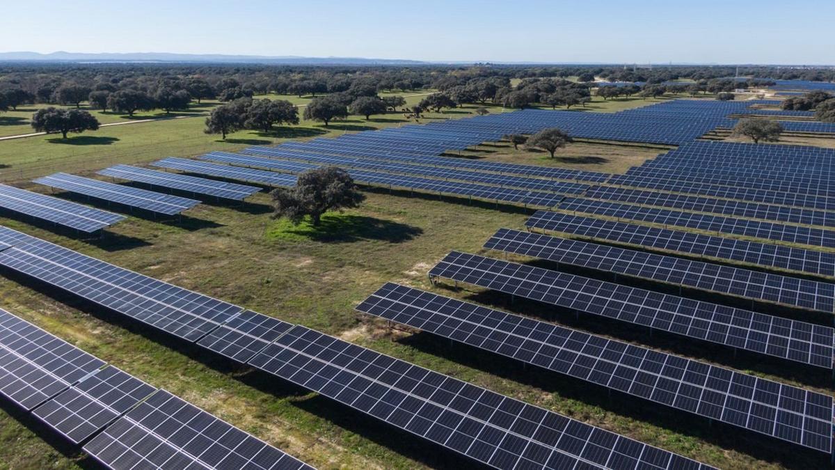 Energia, Italia sigla accordo con Albania ed Emirati Arabi Uniti per le rinnovabili