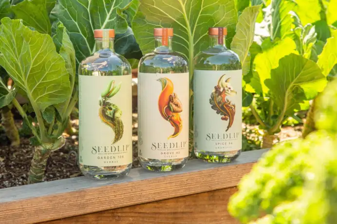 Dry January: i 7 distillati No-Low da provare per vincere la sfida del mese senz'alcol