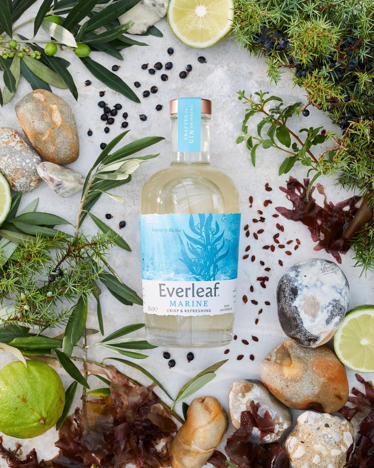 Dry January: i 7 distillati No-Low da provare per vincere la sfida del mese senz'alcol 