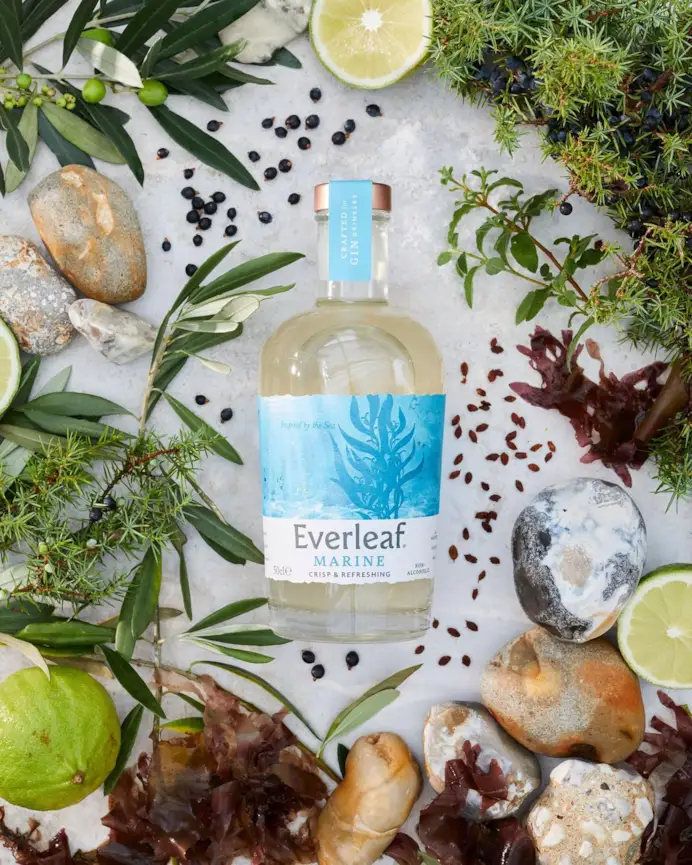 Dry January: i 7 distillati No-Low da provare per vincere la sfida del mese senz'alcol