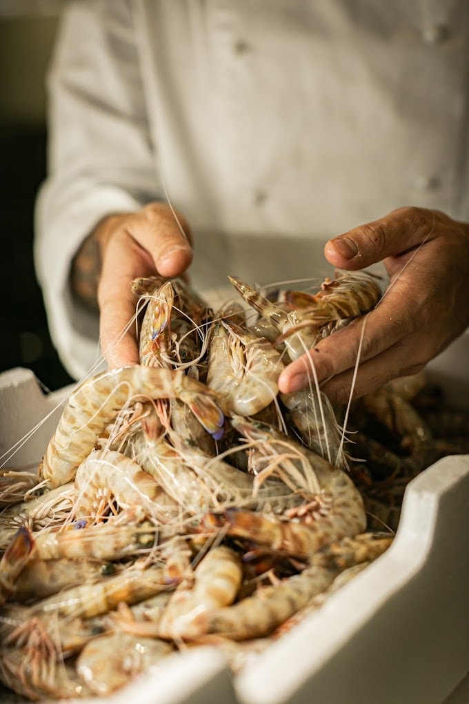I quattro migliori ristoranti di pesce «sostenibili»