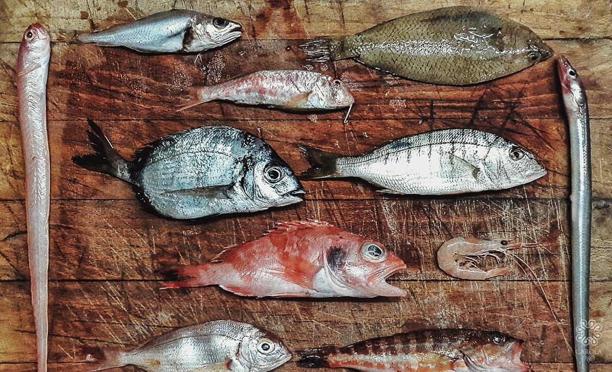 I quattro migliori ristoranti di pesce «sostenibili»