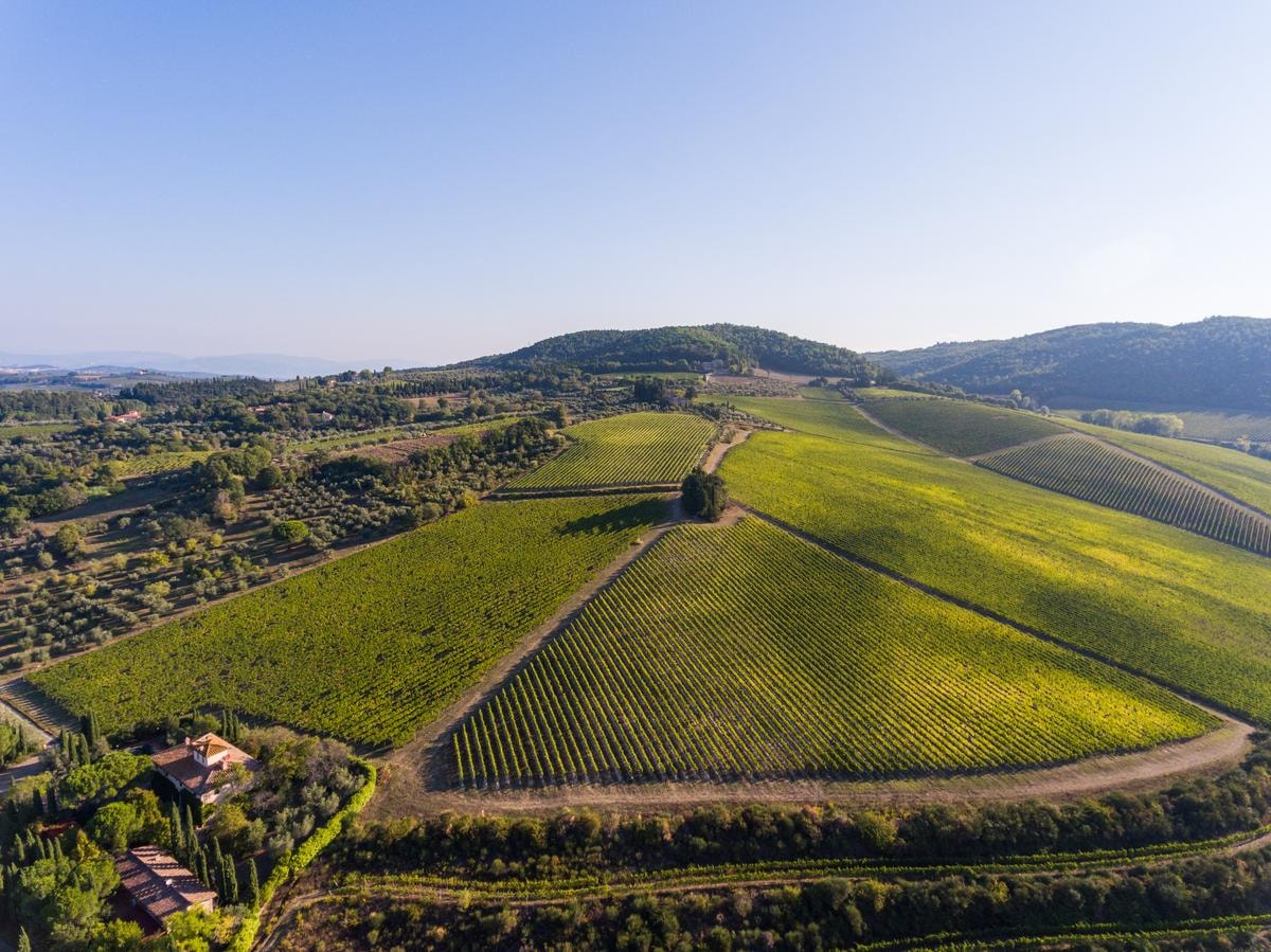 Antinori Tignanello Estate, Chianti, Tuscany, Italy