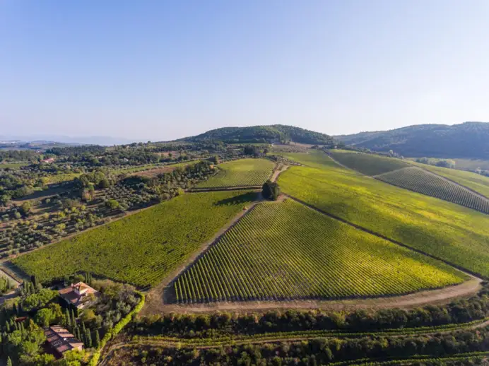 Antinori Tignanello Estate, Chianti, Tuscany, Italy