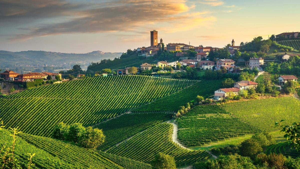 La Top 100 dei vini rossi italiani 2025