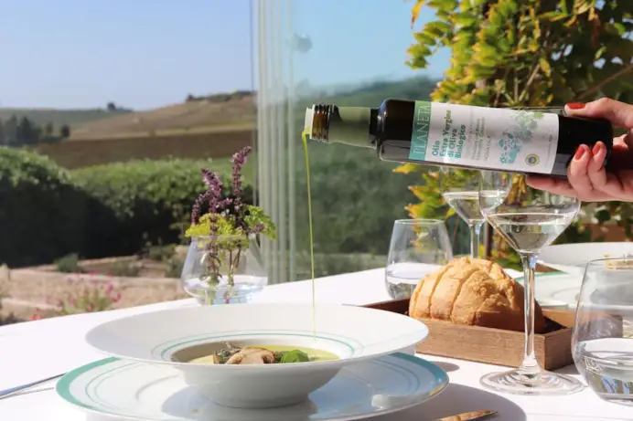 Olio di vino. Le 10 migliori etichette di extravergine d’oliva dei grandi produttori italiani