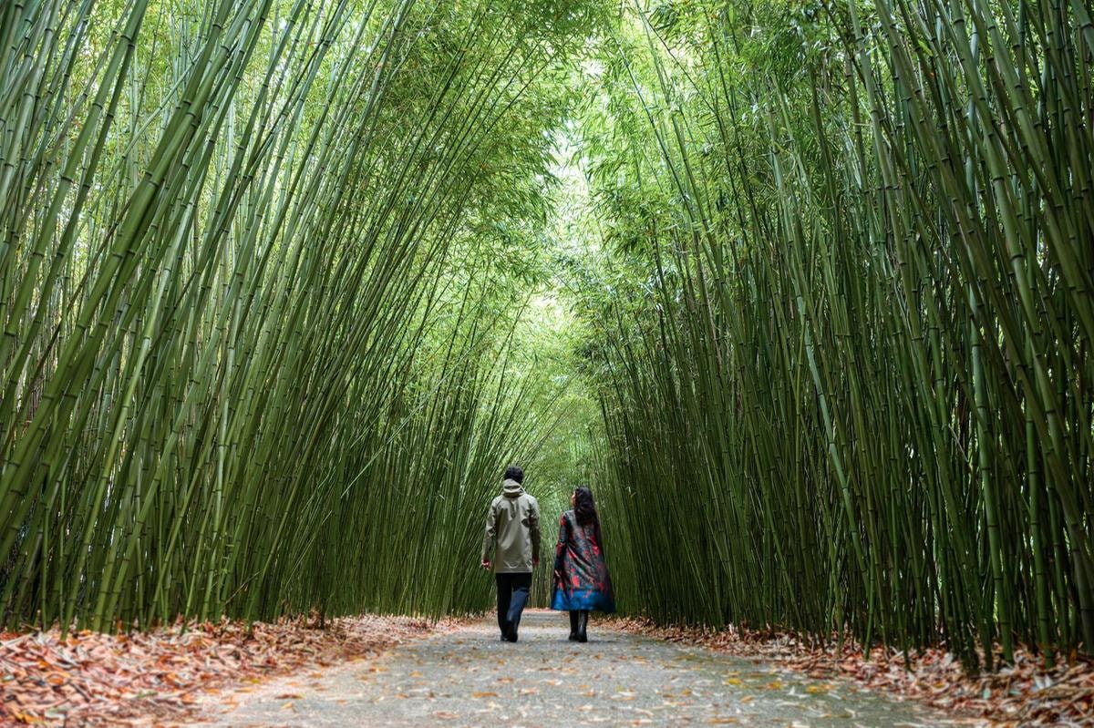 3 experiences per riconnettersi con la natura