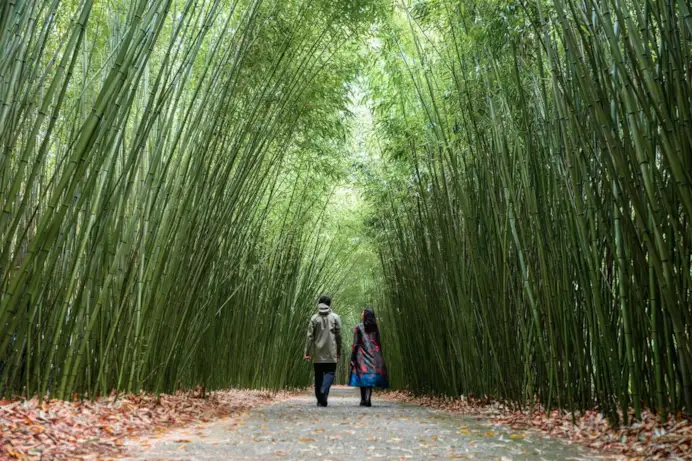 3 experiences per riconnettersi con la natura