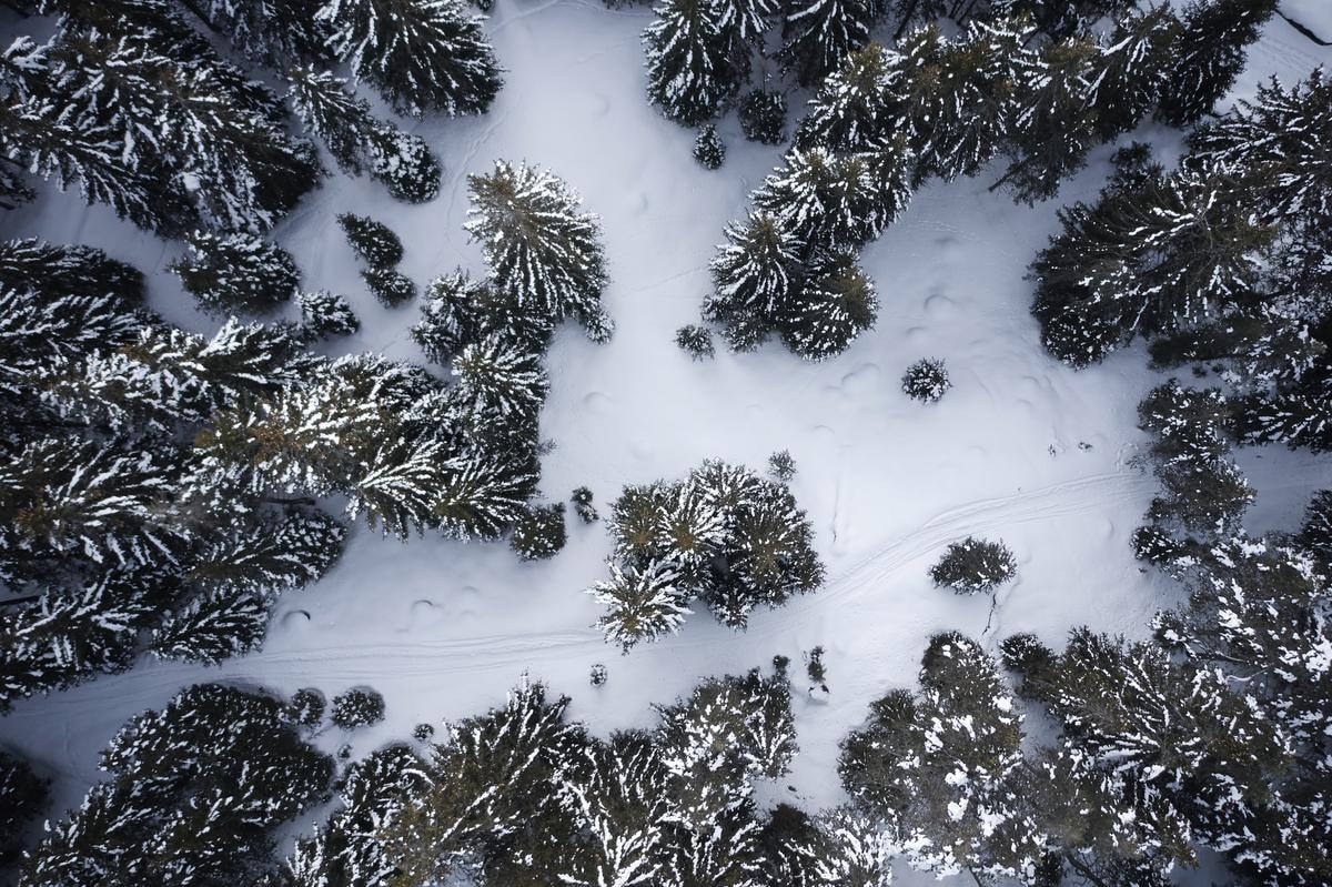 3 experiences per riconnettersi con la natura