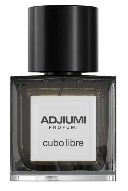 Cubo Libre di Cristian Cavagna (50 ml, 145 euro).