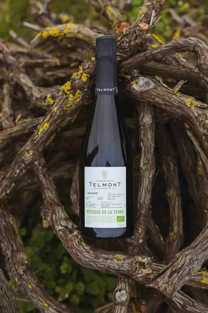 La cuvée bio extra brut Réserve de la Terre di Champagne Telmont.